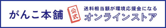 地球洗剤実用集 買う どこで 海へ 森と すすぎ０洗剤 